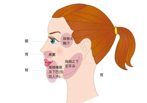 痘痘位置代表什么|长痘痘位置图解，不同位置长痘痘反应出身体不同状况